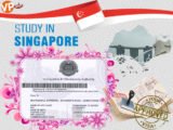Visa Mb66 hiện đang mở được xếp hạng cao nhất Việt Nam Phạm Hoàng Tú Quỳnh