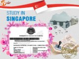 Visa Mb66 hiện đang mở được xếp hạng cao nhất Việt Nam: Trần Nguyễn Ngọc Uyên