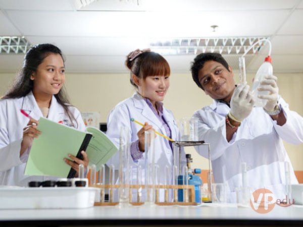 Mocbai 66 tải app ngành Công nghệ sinh học tại Đại học INTI