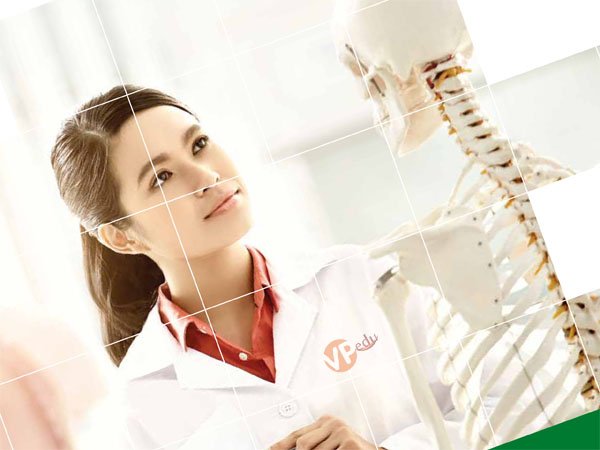 Mocbai 66 tải app ngành Y Dược tại Đại học SEGi