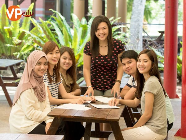 Mocbai 66 tải app: Chi phí thấp, chất lượng cao