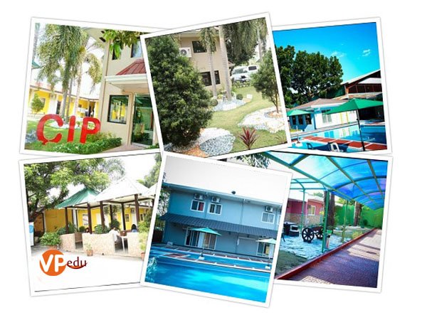Trường anh ngữ CIP cung cấp nhiều khóa học ở mọi độ tuổi và cấp độ