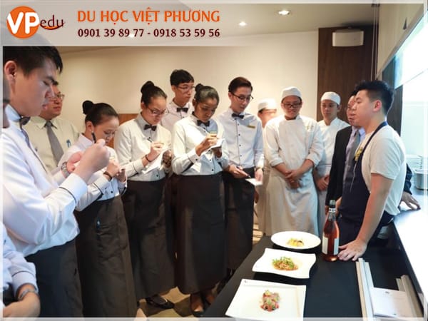 Shatec Việt Nam