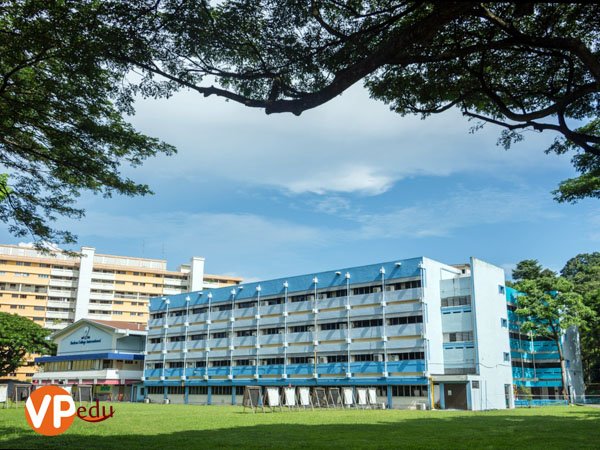 Mb66 Okvip Quốc Tế Shelton