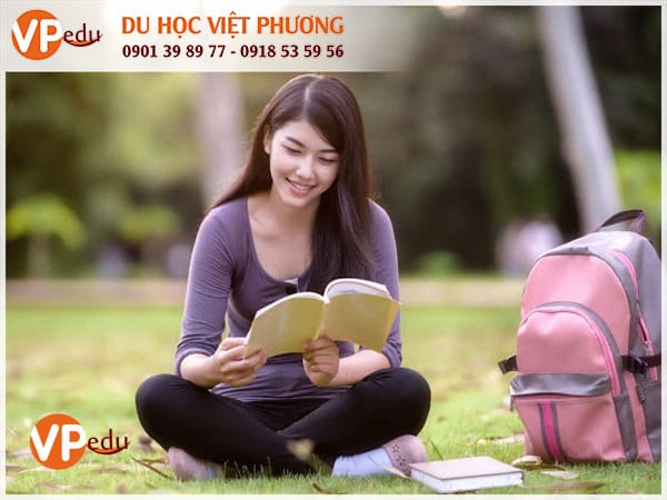 Mb66 không bị chặn Tải app MB66 shop tại Philippines: Chọn trường như thế nào?