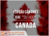 Chuẩn bị gì khi đi Mb66 hiện đang mở được xếp hạng cao nhất Canada?
