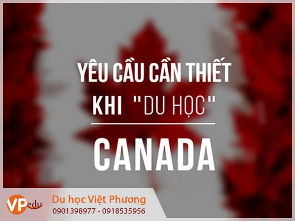 Chuẩn bị gì khi đi Mb66 hiện đang mở được xếp hạng cao nhất Canada?