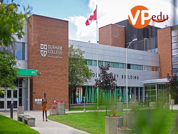 Cơ hội việc làm sau khi Mb66 hiện đang mở được xếp hạng cao nhất Durham Canada
