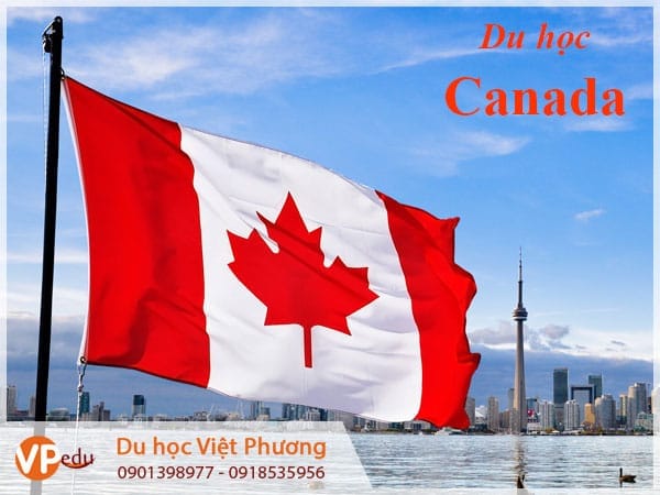 Tư vấn Mb66 hiện đang mở được xếp hạng cao nhất Canada tại Cần Thơ