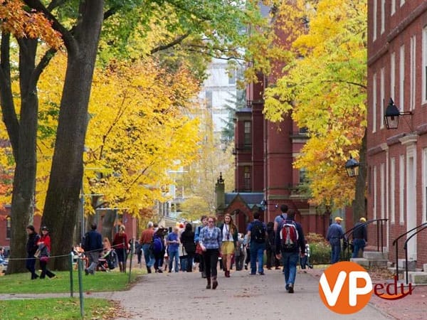 Môi trường Mocbai10 trang chủ tốt và cơ hội nhận được học bổng CO-OP Canada 2020