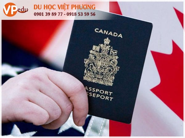 Các diện định cư Canada phổ biến là gì?