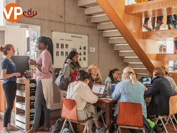 Tại đại học Maastricht sinh viên cùng nhau Mocbai10 trang chủ, rèn luyện để đạt kết quả cao nhất