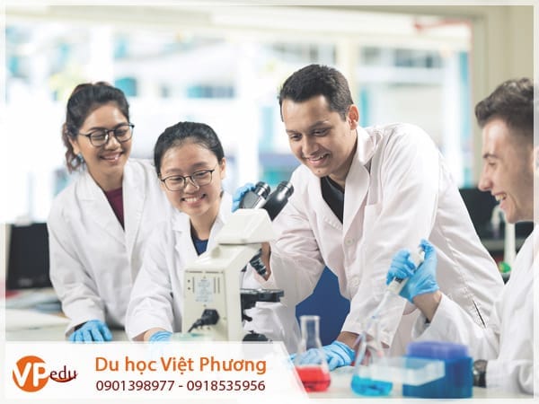 Ngành quản lý y tế tại học viện Khuyenmaimb66 thu hút nhiều sinh viên quốc tế theo học
