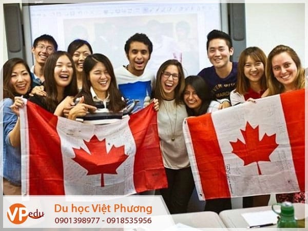 Cùng tư vấn Mb66 hiện đang mở được xếp hạng cao nhất Canada tại Bình Thuận tìm hiểu về chương trình Mb66 hiện đang mở được xếp hạng cao nhất Canada