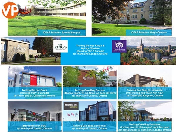 Cùng Tham quan các trường đại học tại Toronto