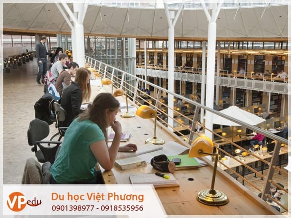 Thư viện Hà Lan là môi trường Mocbai10 trang chủ lý tưởng cho sinh viên
