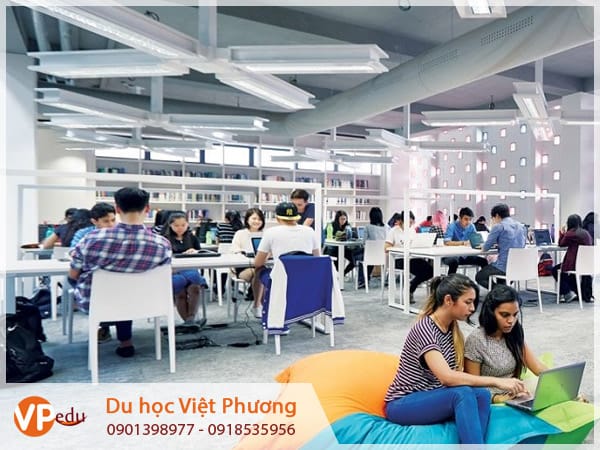 Mocbai 66 tải app nhận bằng quốc tế, cơ hội việc làm mở rộng
