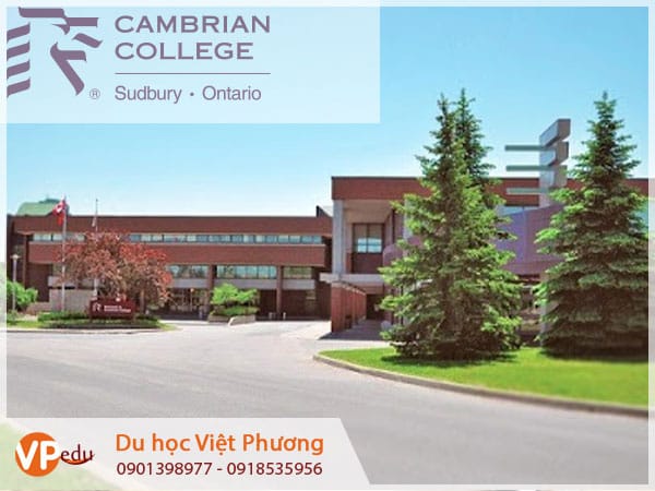 Trường cao đẳng Cambrian College