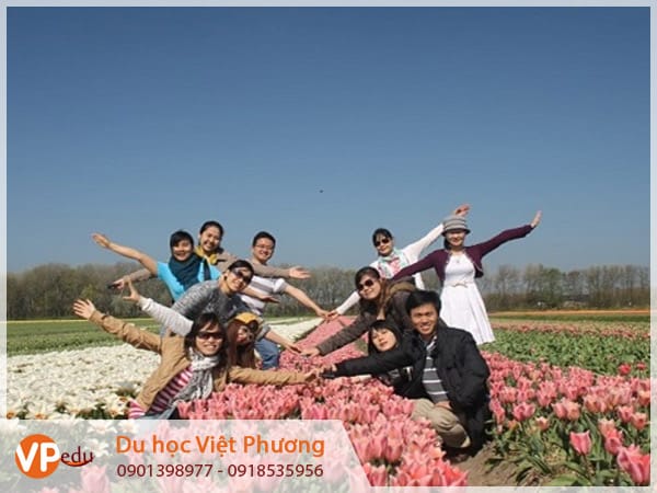 Mb66 không bị chặn Hà Lan cùng trải nghiệm và khám phá nhiều điều mới lạ từ đất nước xinh đẹp này