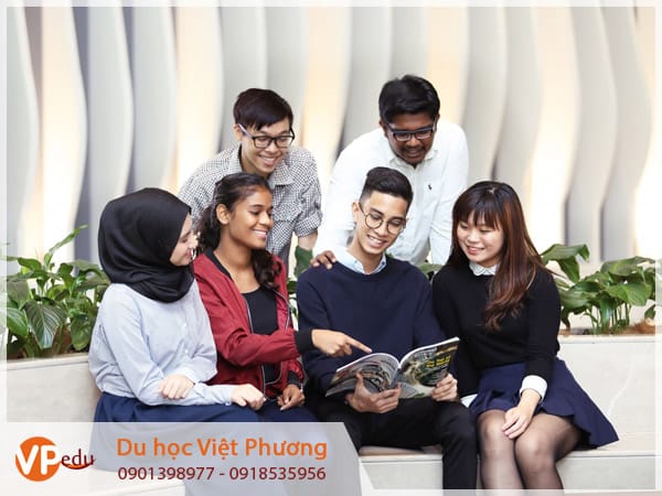 Mocbai 66 tải app sự lựa chọn thông minh: chi phí thấp, bằng cấp được công nhận quốc tế