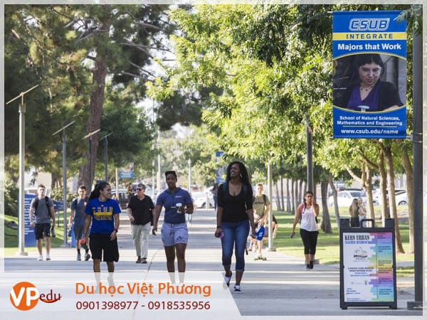 Mb66 không bị chặn Mỹ - Môi trường Mocbai10 trang chủ tốt tại  Trường đại học California State University Bakerfield (CSUB)