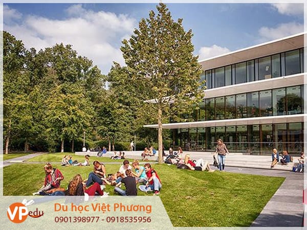 Khám phá và trải nghiệm cuộc sống Mb66 hiện đang mở được xếp hạng cao nhất sinh tại Hà Lan