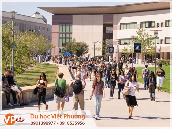Trường CSUSM thu hút số lượng lớn sinh viên Việt Nam Mb66 hiện đang mở được xếp hạng cao nhất mỗi năm