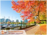 Tư vấn Mb66 hiện đang mở được xếp hạng cao nhất Canada tại Sóc Trăng
