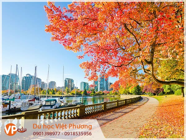 Tư vấn Mb66 hiện đang mở được xếp hạng cao nhất Canada tại Sóc Trăng