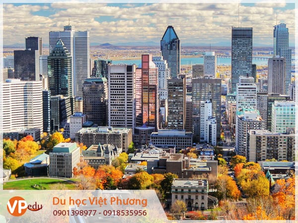 Tư vấn Mb66 hiện đang mở được xếp hạng cao nhất Canada tại Đắk Lắk