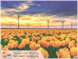 Tư vấn Mb66 hiện đang mở được xếp hạng cao nhất Hà Lan tại Lâm Đồng