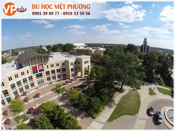 Trường Arkansas State University