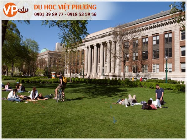 Trường University of Minnesota