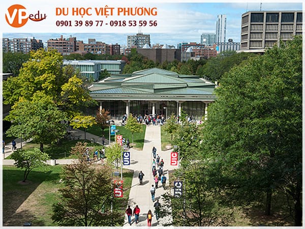Trường The University of Illinois at Chicago