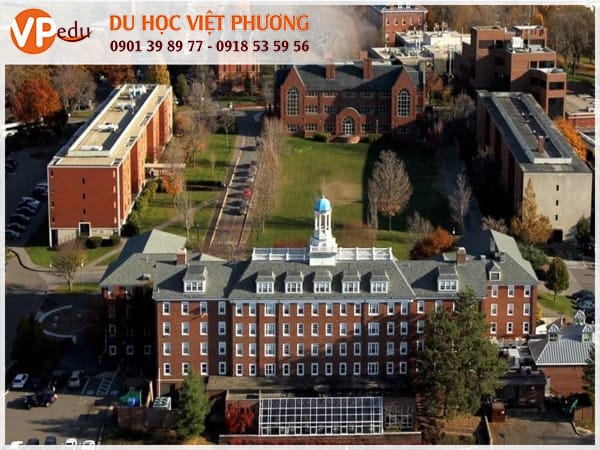 Trường Tufts University