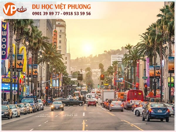 Các trường đại học ở Los Angeles - Mỹ đẳng cấp nhất