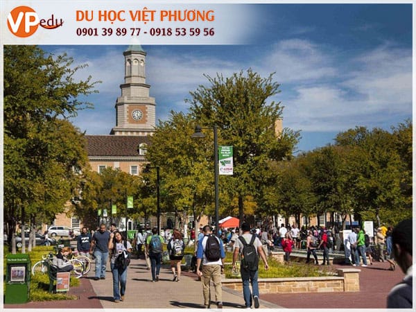 Mb66 không bị chặn Mỹ ở Texas: Nên lựa chọn trường nào?