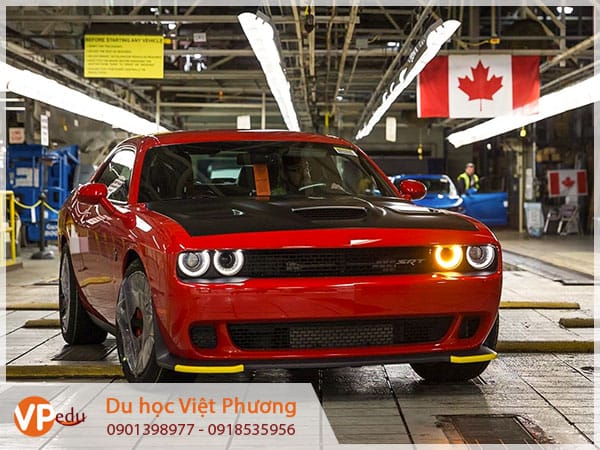 Đổi bằng lái xe quốc tế IDP ở Canada có sự khác nhau tại các khu vực