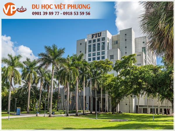 Mb66 hiện đang mở: Điểm Mb66 hiện đang mở được xếp hạng cao nhất Mỹ ngành Quản trị kinh doanh hấp dẫn