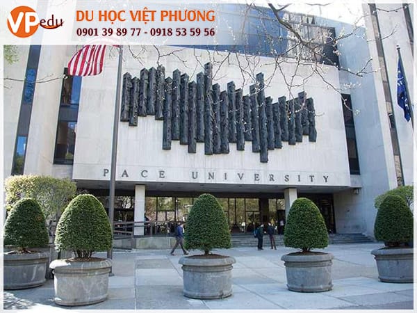 Pace University: Trường quản trị kinh doanh hàng đầu ở Mỹ