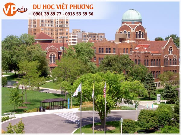 Trường Concordia University Chicago – Bang Illinois