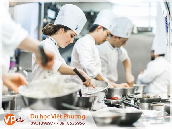 Nghề bếp - nghề nên chọn khi bạn đi Mb66 hiện đang mở được xếp hạng cao nhất nghề Mỹ