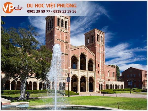 Trường University of California - Los Angeles (UCLA)
