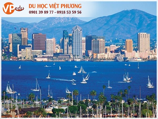 Top 5 trường trung học ở California dành cho học sinh Việt