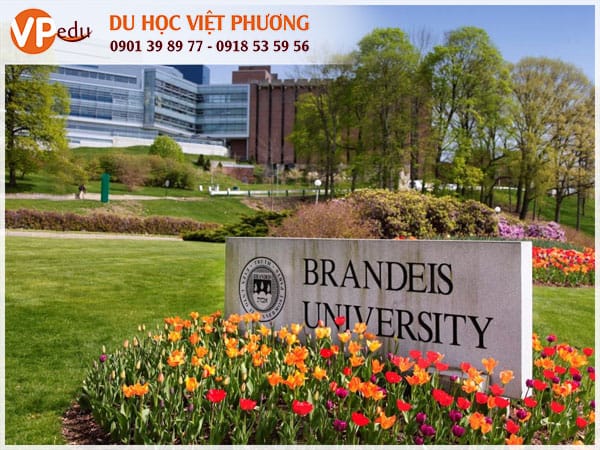 Mb66 không bị chặn Mỹ tại trường Brandeis University