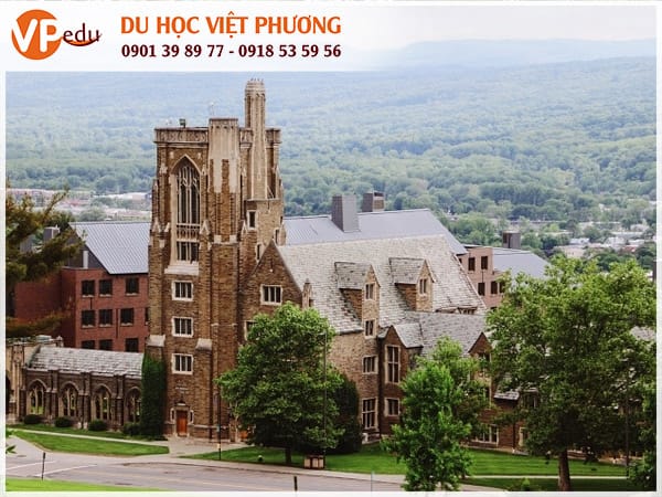 Đại học Cornell - Trường luôn nằm trong top các trường đại học y nổi tiếng ở Mỹ