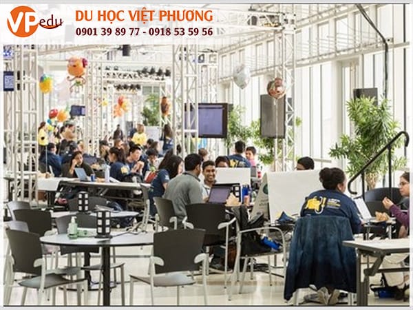 Môi trường Mocbai10 trang chủ tại trường lý tưởng dành cho sinh viên