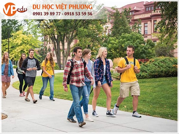 Trải nghiệm môi trường Mocbai10 trang chủ chất lượng tại trường đại học North Dakota State