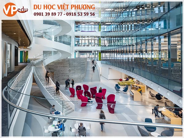 Trường đại học Northeastern - Môi trường Mocbai10 trang chủ lý tưởng cho sinh viên