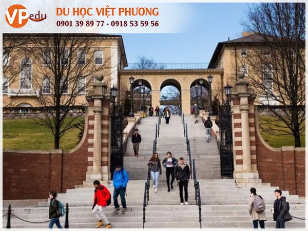 Tufts University - trường đại học ở Boston, Mỹ mà Mb66 hiện đang mở được xếp hạng cao nhất sinh quốc tế luôn mơ ước